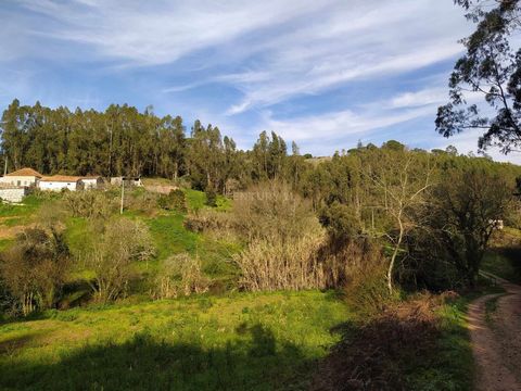 Plot of Land for Construction, perfect for those who dream of building and choosing all the finishes and materials of their own home. Inserted in the Parish of Santa Catarina, in Caldas da Rainha, with unobstructed views of the countryside, 5km from ...