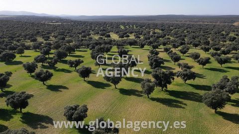 FULL VIDEO IN ADDITIONAL LINK ** VIRTUAL TOUR 360 AVAILABLE ** Rustic Finca of 107 hectares 1 hour from Madrid with a modern luxury castle built in the XXI century of 250m², also a livestock and agricultural farmhouse of 450m², with a house for guard...