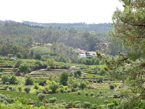 Land with an area of 2,000 m2, located near the Fagilde Dam, in Aldeia de Casal Diz, Penalva do Castelo area. It has electricity nearby, shade trees, including an imposing Eucalyptus. It enjoys great views. Excellent land for placement of 1 