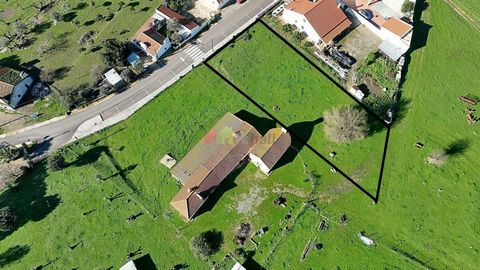 Plot of land for construction with 1225 m2 in São Brissos, Santiago do Escoural. You can build a house up to 140m2 Come live in this small village and enjoy the smells of the countryside and Alentejo. Schedule your visit now.