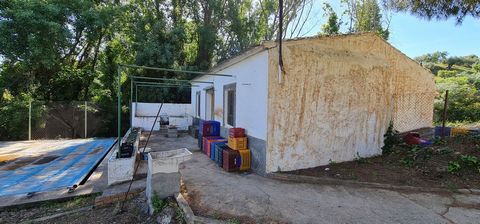 Great opportunity to purchase a total of more than 22.000m2 of land in the area of Tolox, offering different fruit trees, avocado trees and olive trees. There are two plots next to eachother which are to be sold, one plot has a small farm house and h...