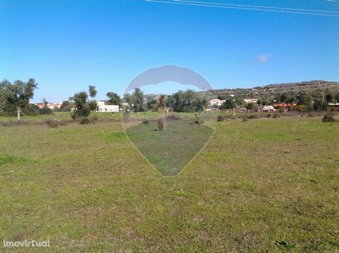 Rustic land with 11.520m2 totally flat in an excellent location, very close to the charming village of Tunis. Ideal for those who want to have a vegetable garden and enjoy the tranquility of the countryside. Contact me for more information!   Rustic ...