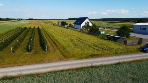 Eigenschappen: - landbouwperceel (WZ verkrijgbaar) Afmetingen & Uiterlijk: - oppervlakte 1,17 hectare - rechthoek 17 x 620 meter - vlak perceel Plaats: - Borów - Keulen - Ligging dicht bij groene gebieden - Weg van dichte bebouwing - Nabijheid van bo...