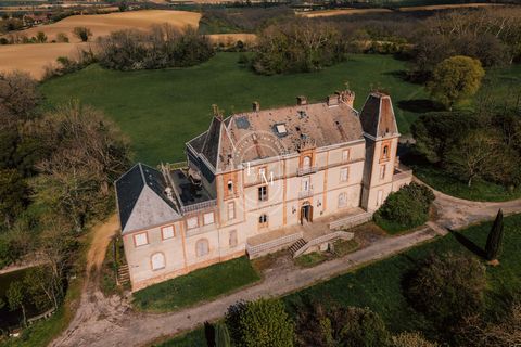 Kom en ontdek dit prachtige kasteel op slechts 15 minuten van Verfeil. U krijgt toegang tot deze woning van 1154 m2 via een terras van 64 m2. De begane grond van 469 m2 biedt opmerkelijke diensten die wachten om te worden benadrukt: cementtegels, lij...