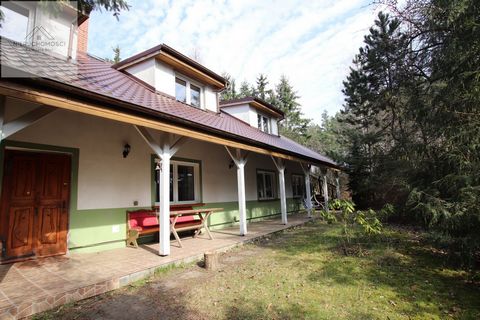 A small guesthouse in a sensational location, located among forests and lakes in the center of the summer village of Smolarnia at the edge of the Drawska Forest. The village of Smolarnia and the nearby village of Straduń, due to their location among ...