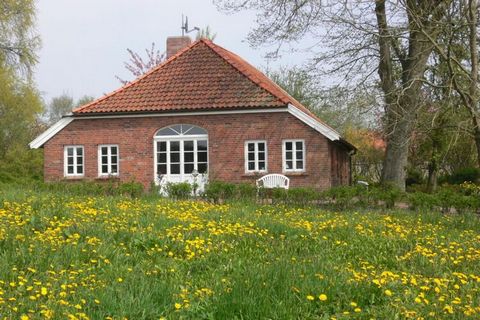On a 2300 m² plot of land, our fully restored Gulfhof is picturesque under a linden tree with a wide view over meadows and fields. In the holiday home you will find everything you need for relaxing holidays on approx. 150 m². The spacious living spac...