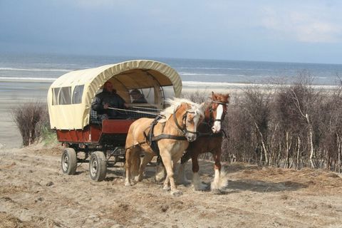 Exclusief vakantiehuis op Juist - direct aan de strandopgang, prachtig uitzicht op de Waddenzee, 9 personen. +2 baby's, 4 slaapkamers, 4 badkamers, open haard, fietsen inbegrepen.