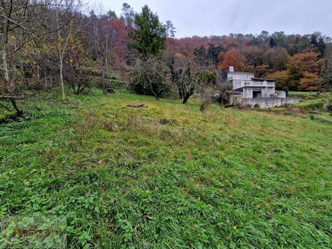 Tarn (81) te koop bouwgrond in Vabre. Albi 50 km of 1 uur, Toulouse 100 km of 2 uur, Beziers 110 km of 2 uur 10, Montpellier 160 km of 3 uur. Dit zeer goed belichte terrein beschikt over een stedenbouwkundig certificaat voor een houten huis van 50m²....