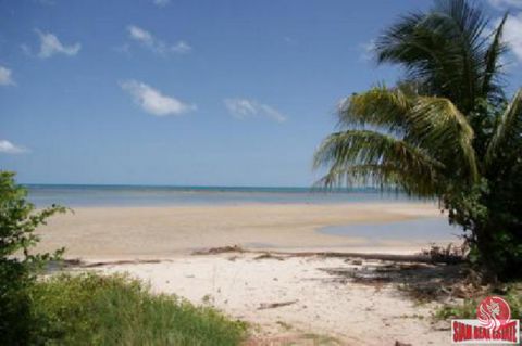 A superb opportunity to purchase 5.88 rai of flat Koh Samui land plot for sale, located about 80 meters from a pristine beach in a quiet picturesque area in Bang Kao. This Koh Samui land plot for sale is split up into 6 land titles, accessed by a pub...