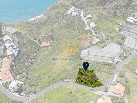 Excellent location in Tábua, Madeira. Flat land measuring 850m² with sea and sunny views, perfect for building a detached house. Good access and negotiable price, with an excellent price per square meter for the area. Construction Area 300 m2. We han...