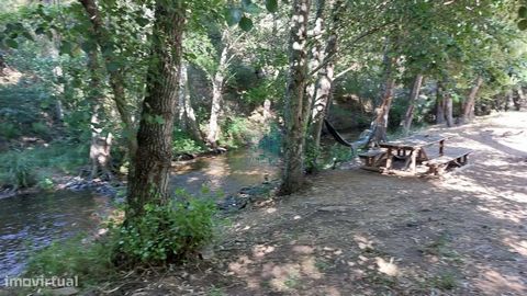 Boerderij met 23ha, naast de Monchique-stroom in Fonte Santa Alferce en een huis om te herstellen, dicht bij de Odelouca-dam dit prachtige pand heeft een prachtig uitzicht op de bergen. Het thermale water van Fonte Santa staat bekend om de geschieden...