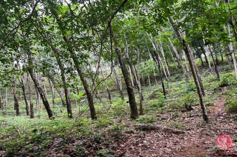 Rubber plantation land of 28 rai, featuring both flat and steep hilly terrain for sale in Tha Yu, Phangnga. The land is equipped with electricity and water access and has a Chanote title deed. It is adjacent to a 4-meter-wide public road. Within the ...