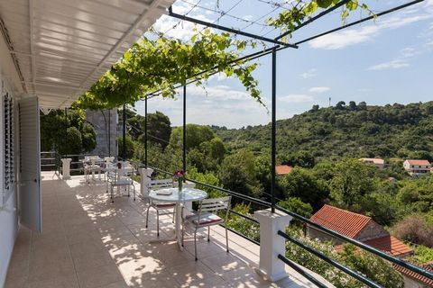 Apartments Miskovic are a perfect place for an island getaway with sandy beaches, rich vegetation and beautiful nature situated on Island of Koločep near famous Dubrovnik. It is ideal for people who want to get rest from stress life, ideal for famili...