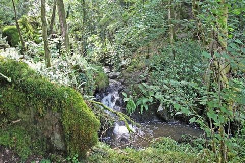 Come sospeso nella valle che domina il fiume Gartempe, il lodge è pensato per accogliervi. come un loft si apre attraverso grandi vetrate su una terrazza e sulla natura. Luogo ideale per osservare uccelli, pecore o cervi. Nel cuore della natura, è po...