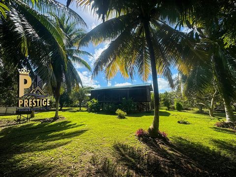 Möchten Sie sich in Belize zur Ruhe setzen und träumen von einem ruhigen und dennoch geräumigen Anwesen?     Dieses charmante Holzhaus mit 2 Schlafzimmern und 2 Bädern könnte Ihr perfekter Rückzugsort sein! Eingebettet auf einem großzügigen 0,59 Hekt...