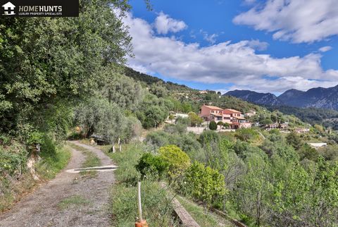 Sale of land with sea view classified as a building zone in the commune of Saint Agnes, near the Menton motorway exit. The land is in a low density construction area and has a surface area of approximately 16,272 m2, there are two built houses namely...