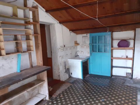 photo no. 3