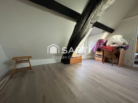 photo no. 8