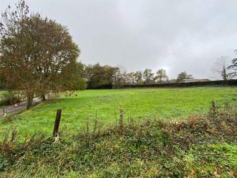 photo no. 1