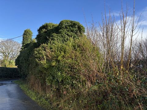 Ontdek dit uitgestrekte perceel van 1.150 m2, ideaal gelegen op het zuidoosten, met een rustige en groene omgeving. Op het perceel staat een stenen huis, hoewel het momenteel ontoegankelijk is vanwege de vegetatie die het bedekt. Zijn toestand moet n...