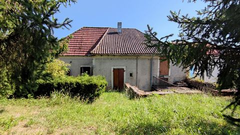 Herenhuis gelegen in het hart van een dorp in de Lot-vallei, te restaureren. Aan de achterkant van het huis is er een tuin met bomen en onderhouden waardoor dit huis, eenmaal gerestaureerd, een aangename leefomgeving zal hebben. Straatniveau: Entree ...