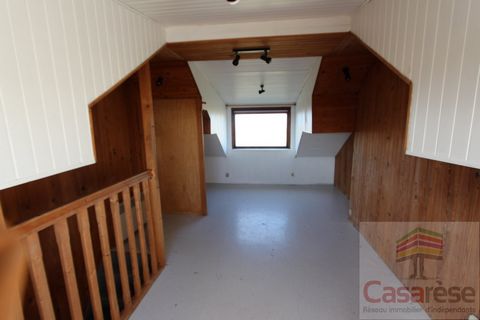 photo no. 6