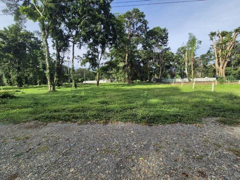 Este lote espacioso, plano y titulado es perfecto para la construcción en una zona residencial de rápido desarrollo. Ubicado a solo 3 minutos en auto de la playa, ofrece una excelente oportunidad para una casa privada o un proyecto de unidades múltip...