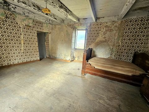 photo no. 2