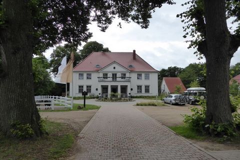 74m2 rookvrij vakantiehuis, twee slaapkamers met elk 2 bedden, 650 m2 grond, piano, WiFi, alle Sky-programma's, rustige en dromerige locatie