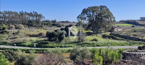 Scopri questo splendido appezzamento di terreno a Lourinhã, nell'affascinante villaggio di Reguengo Grande. Con una superficie di 2160 metri quadrati e una magnifica vista sulla campagna, questo terreno è un vero tesoro per chi cerca una vacanza tran...