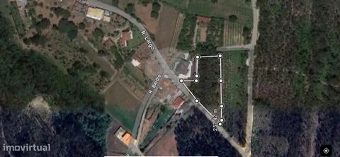 Terrenos en venta Terreno Rústico Urbanizable en el lugar de Vidoeiro en Sangalhos -Anadia Esta propiedad es perfecta para construir una casa de una sola planta, 2 o más plantas con 4 frentes, En una zona residencial tranquila con buen acceso y excel...