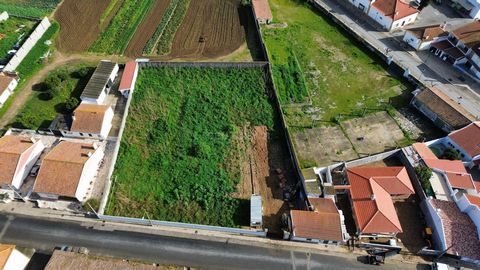 We present excellent buildable land in Golegã, a reference village in Ribatejo, known as the Capital of Horses and the venue for the prestigious National Horse Fair. With a strategic location, good accessibility and a growing real estate market, this...