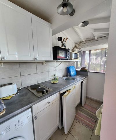 photo no. 3