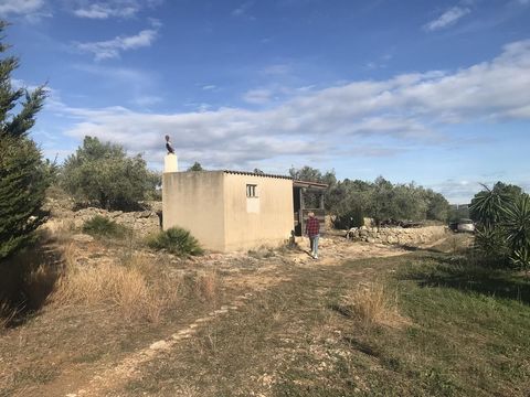 Hübsche Finca von 6.610 m² in der Gegend „Calobres“ des Burga-Tals, nicht weit vom traditionellen Dorf El Perelló entfernt. Die Finca liegt in einer Talsenke und ist von Wald umgeben, sodass sie sich sehr abgeschieden und friedlich anfühlt, obwohl si...