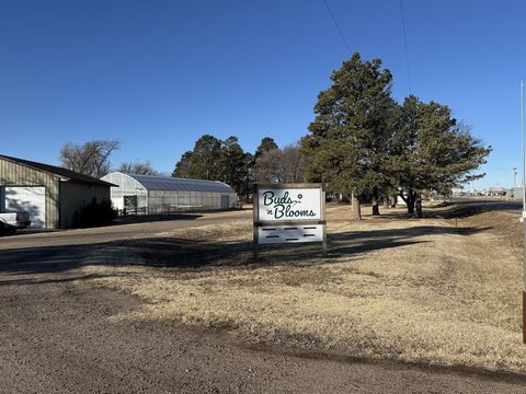 Discover a fantastic opportunity in Goodland, Kansas with this prime commercial property! Buds N Blooms features a spacious retail space, a fully functional commercial greenhouse, and a beautifully landscaped setting with mature trees, making it both...