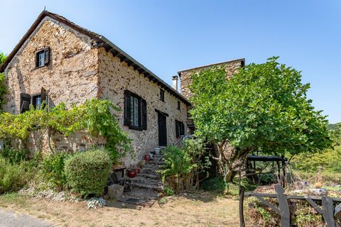 Fermette en pierre  a renover - 153 m²  1 ha attenant  Entre Albi et Rodez