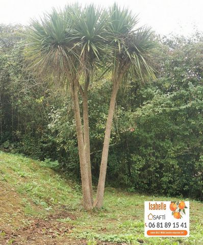 Maison de plain pied individuelle avec jardin