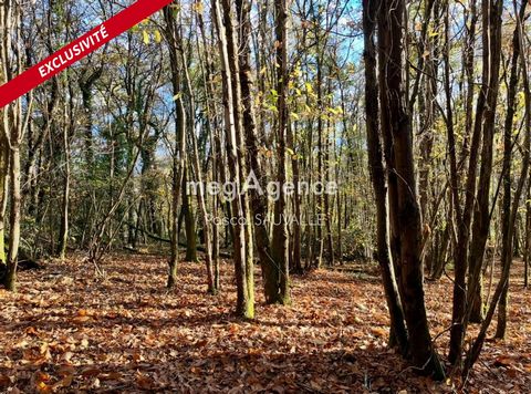 Terrain à bâtir de 4563m2