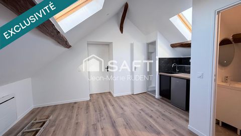 T1 sous les toits, charme absolu et poutres magnifiques