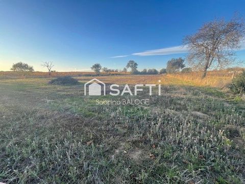 Terrain Agricole plat