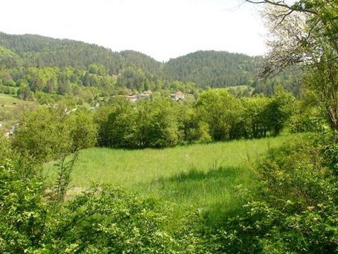 194: ICH VERKAUFE EIN GRUNDSTÜCK VON 1500 KM.M IN DER STADT OBERST SERAFIMOVO, 10 KM VON DER STADT VARNA ENTFERNT. SMOLYAN, AUF DER STRASSE SMOLYAN RUDOZEM / IN DER NÄHE DER GRIECHISCHEN GRENZE / GELÄNDE MIT LEICHTER VERLEUGNUNG, NACH SÜDEN AUSGERICH...