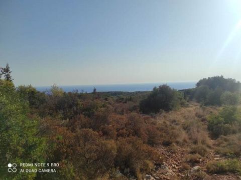 Description Kiliomenos, Agricultural Land For Sale, 30.000 sq.m., Features: For development, Amphitheatrical, Price: 350.000€. Πασχαλίδης Γιώργος Additional Information Panoramic plot of land with a total surface of 30,000 sq.m. in the wider area of ...