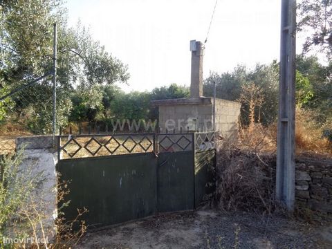 Rustic land fenced with well and with access in tar. Good deal! Excluded from the SCE, under Article 4, of Decree-Law No. 118/2013 of 20 August.