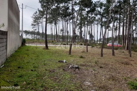 Property ID: ZMPT548563 Rustic land Brejo d'agua 1735 m2 with pine trees included. Close to the beaches in quiet and almost paradisiacal area. I always get in search of home 3 reasons to buy with Zome: + Follow-up With a unique preparation and experi...
