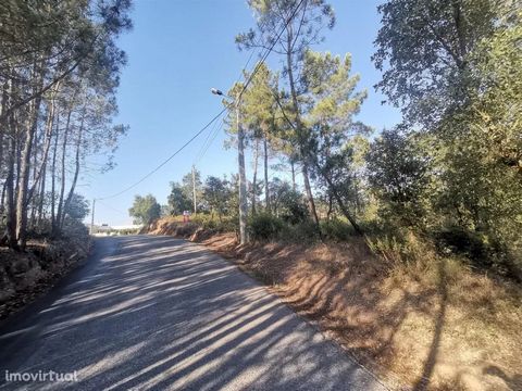 Excellent land for construction of several villas, with excellent sun exposure, unobstructed views of public transport at the door and on a street with plenty of construction of villas, do not miss this opportunity to build your dream home!