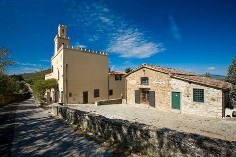 PELAGO (FI): Agricultural estate of approximately 18.5 hectares of land with vineyard in Chianti Colli Fiorentini, farmhouse with turret used as accommodation, restaurant, and warehouses, comprising: Approximately 15 hectares of olive grove with arou...