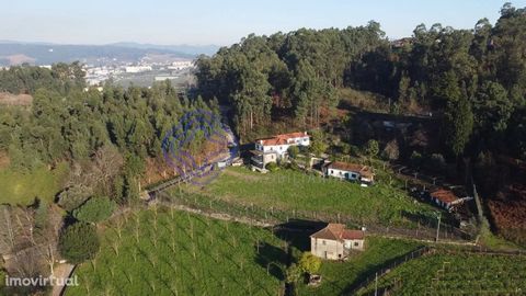 Property for Own Housing, Housing Tourism or events, implanted in land with 6000 m2. Located in Lugar de Barreiros, parish of Lixa - Felgueiras, 57 Kms from Porto (about 50 minutes) and 8 Km from the Center of Felgueiras. Quiet place, with rural land...