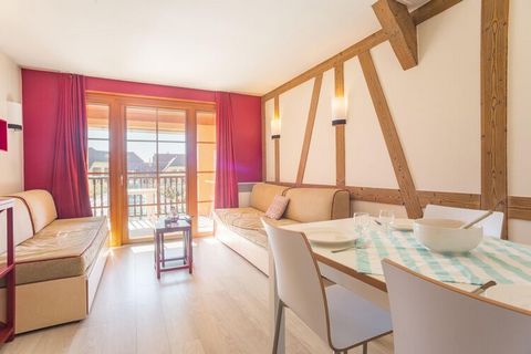 Modernly equipped and renovated in 2016 holiday complex with heated indoor pool, just a few meters from the ring-shaped town center. The small colorful houses with the apartments fit perfectly into the typical image of Alsatian villages, you will rec...