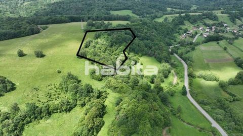 For sale, two charming scenic plots located in the heart of the Bieszczady Mountains, ideal for lovers of nature and peace. The property has an area of ​​1.4 ha (most of it is occupied by forests), is located in Łobozew Dolny, just 3 km from the Soli...
