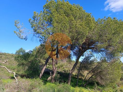 Rustic land 21720 m2, close to Piçarral in Azinhal - Castro Marim. Algarve. Land with waterline. Open view of the Serra Algarvia. Close to the IC 27 access. Just 15 minutes from the best beaches in the Algarve. 10 minutes from the Border with Spain A...